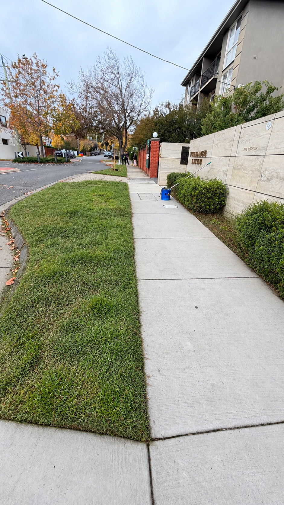 Overgrown nature strip lawn and untidy garden beds along an apartment building frontage before maintenance