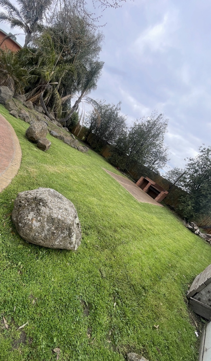 Backyard lawn overgrown and patchy before a garden maintenance visit
