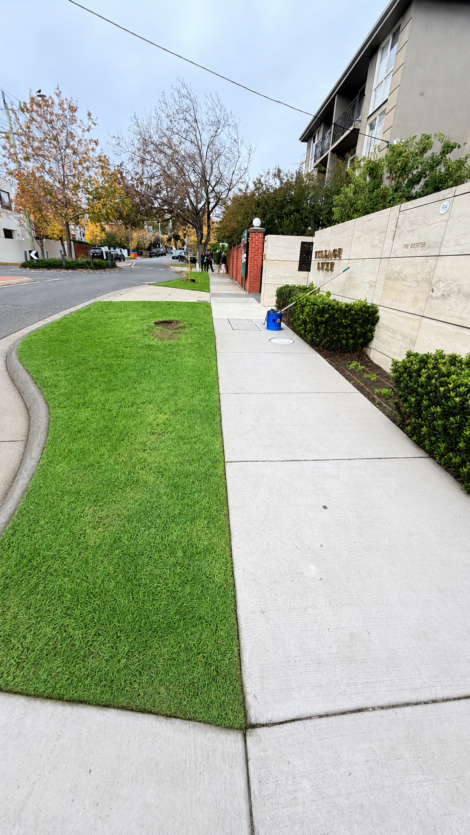 The same frontage after mowing, edging, hedge trimming and blowing down the footpath